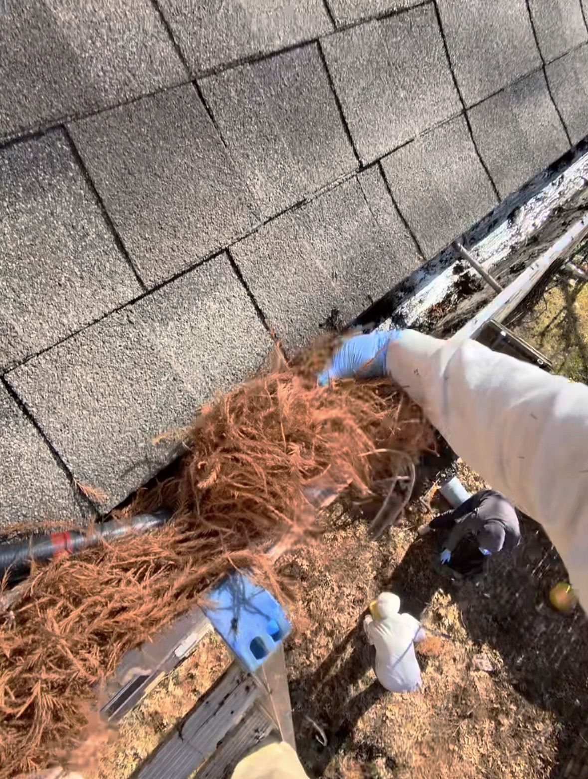 gutter cleaning in mckinney tx